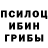 Псилоцибиновые грибы мухоморы HOLLOW BOY