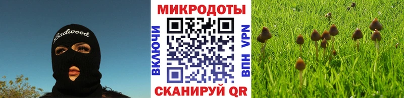 закладка  Олонец  Галлюциногенные грибы прущие грибы 